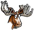 The Moose is Loose The Moose is Loose